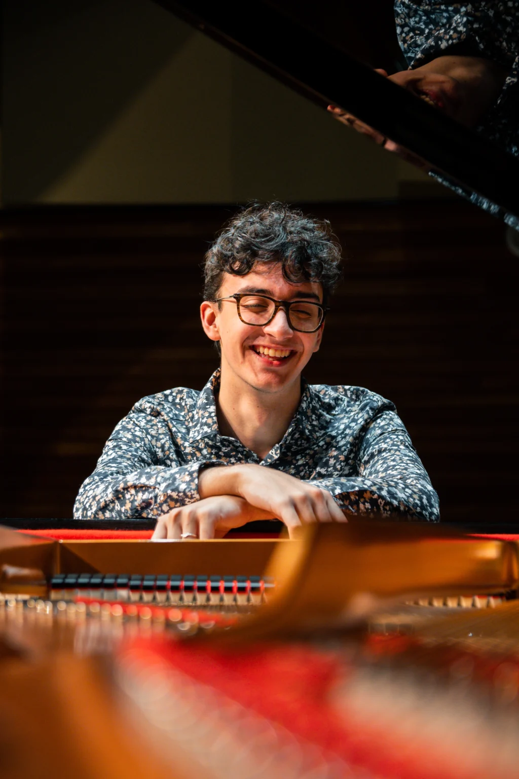 Through Piano Close-up #1