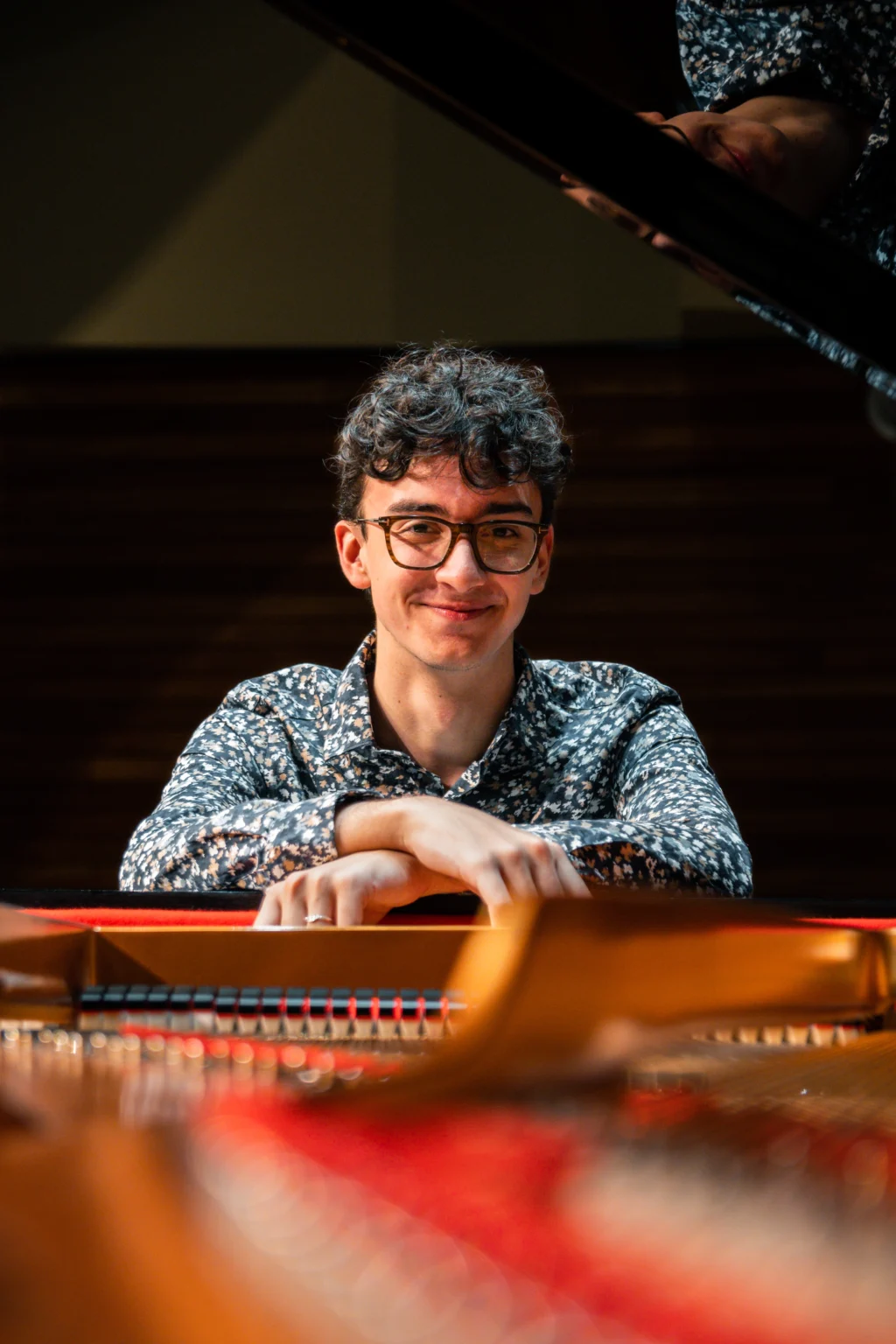 Through Piano Close-up #2